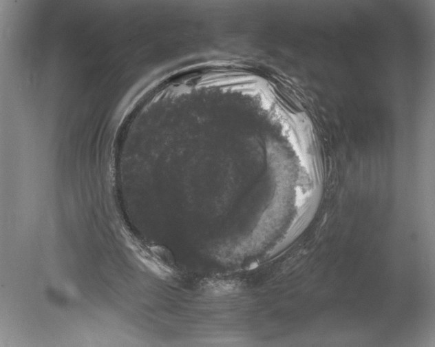 X0000078840247200612111603