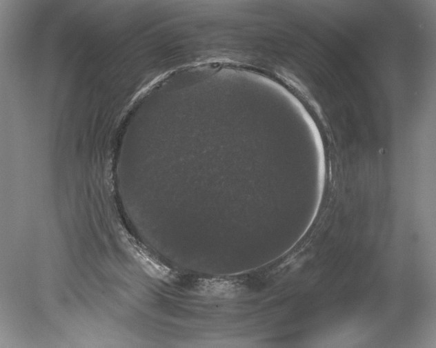 X0000078840249200612111603