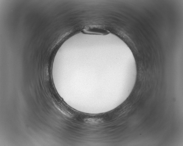 X0000078840251200612111603