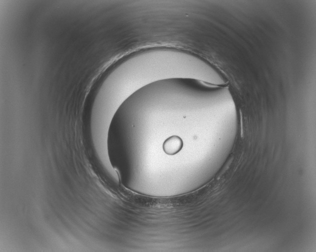 X0000078840252200612111603