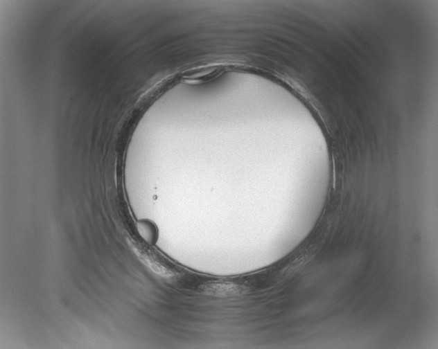 X0000078840253200612111603