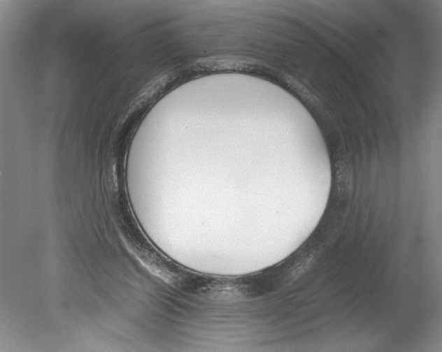 X0000078840254200612111603