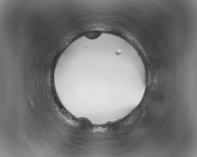 X0000078840257200612111603