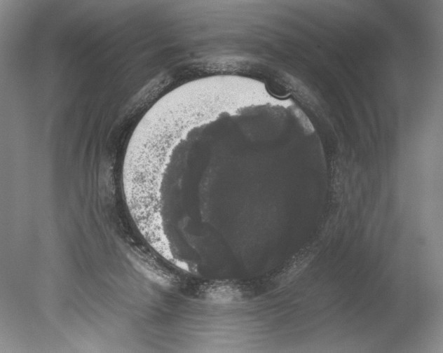 X0000078840258200612111603