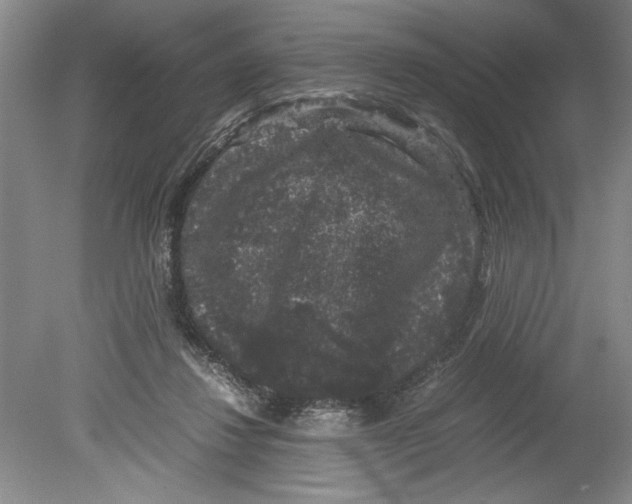 X0000078840260200612111603