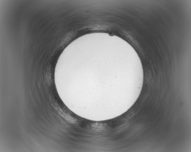 X0000078840261200612111603