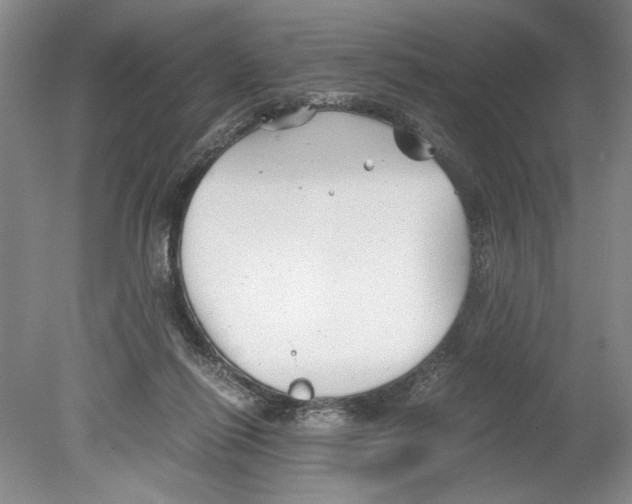 X0000078840262200612111603