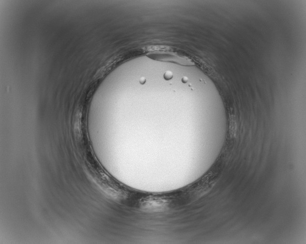 X0000078840263200612111603