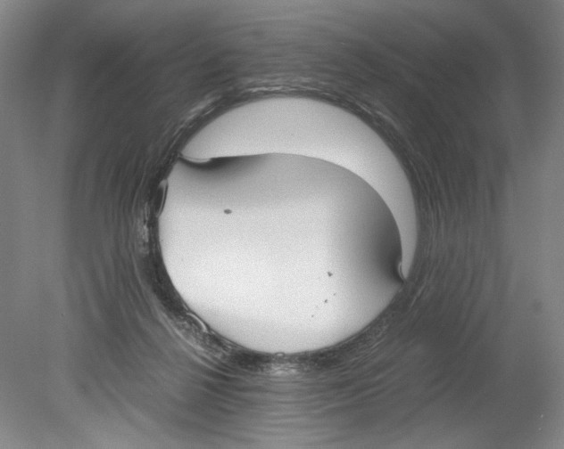 X0000078840264200612111603