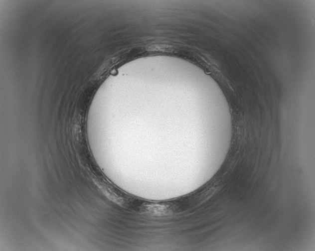 X0000078840265200612111603