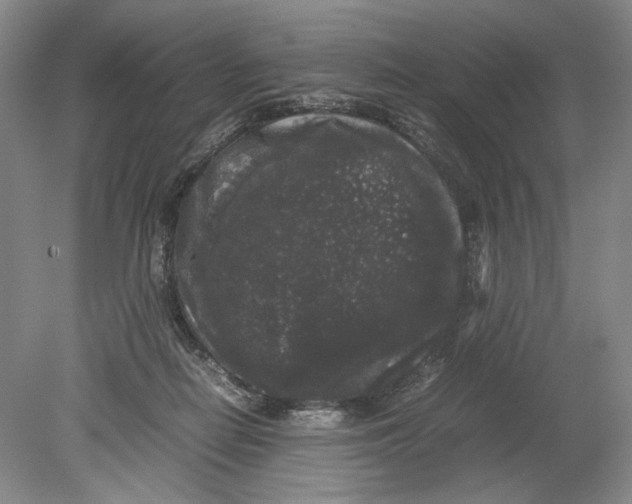 X0000078840266200612111603