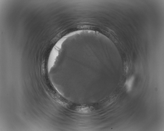 X0000078840267200612111603