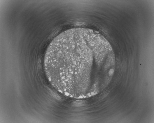 X0000078840269200612111603