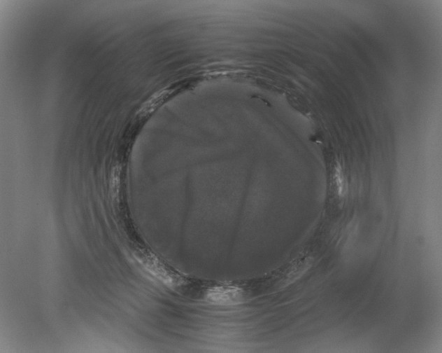 X0000078840271200612111603