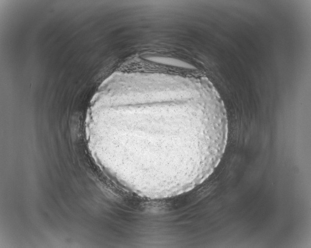 X0000078840273200612111603