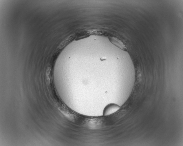 X0000078840275200612111603