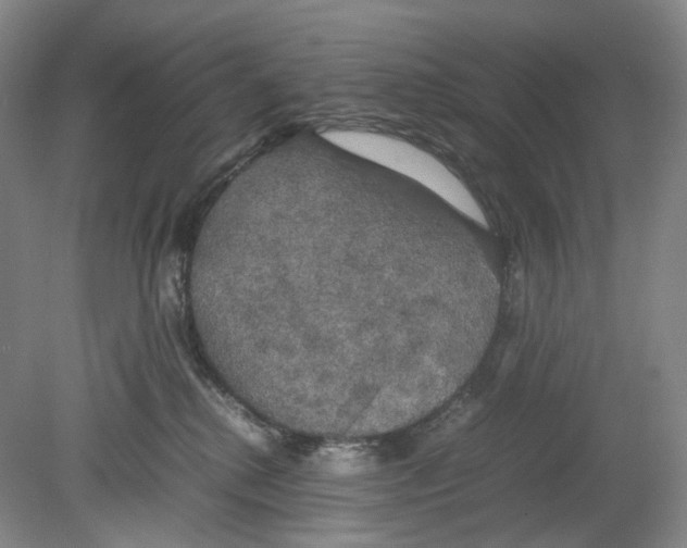 X0000078840280200612111603