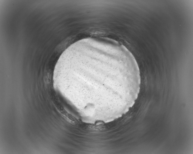 X0000078840281200612111603