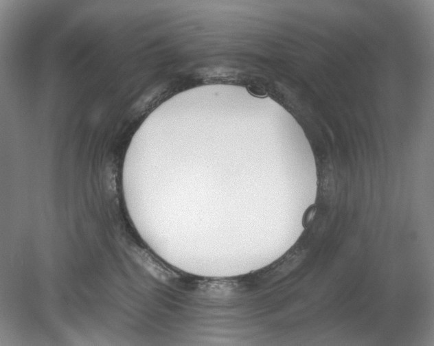 X0000078840282200612111603