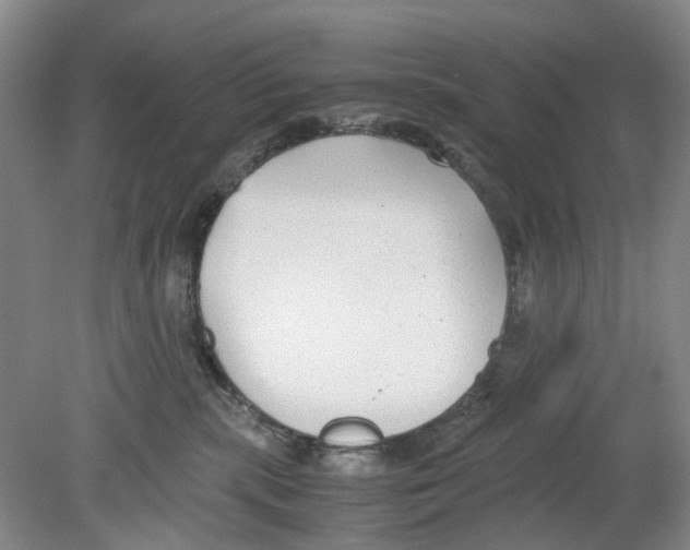 X0000078840283200612111603