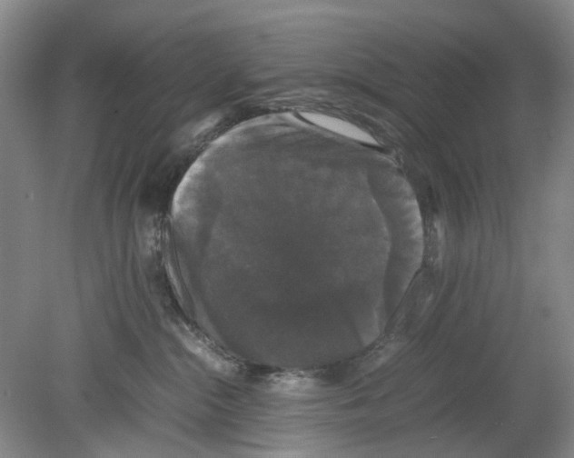 X0000078840284200612111603