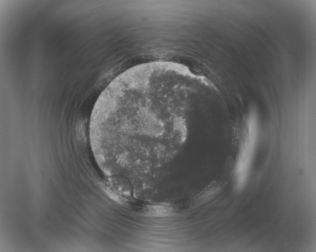 X0000078840286200612111603