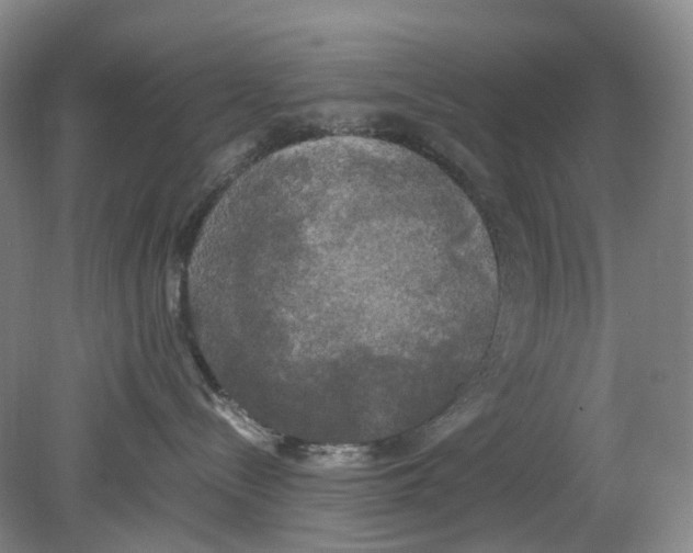 X0000078840288200612111603