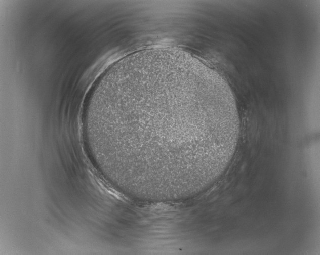 X0000078840290200612111602