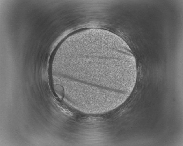 X0000078840292200612111602