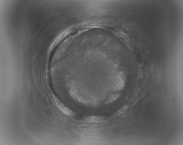 X0000078840293200612111602