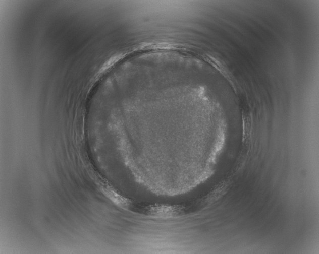 X0000078840301200612111602