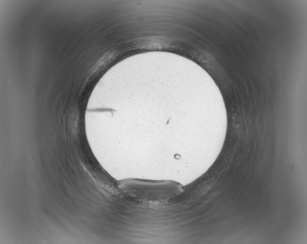 X0000078840304200612111602