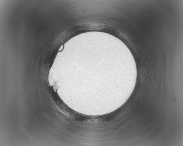 X0000078840307200612111602