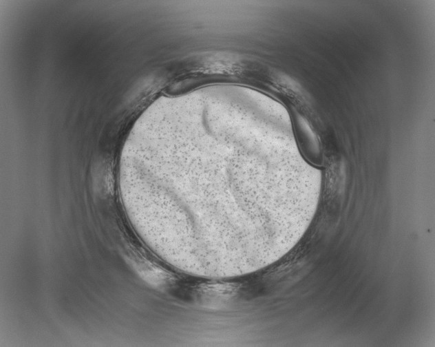 X0000078840313200612111602