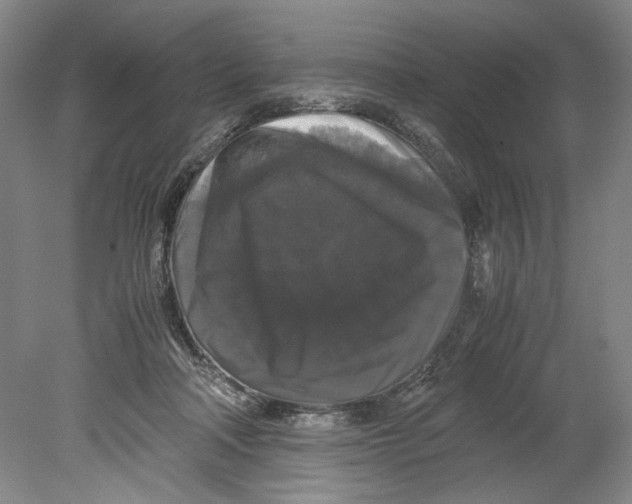 X0000078840314200612111602