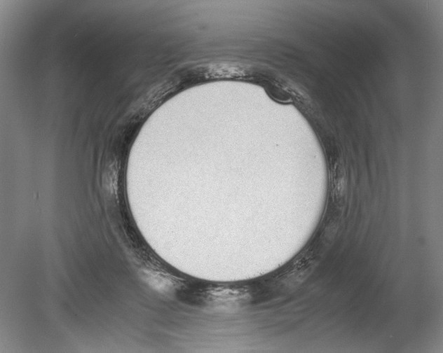 X0000078840315200612111602