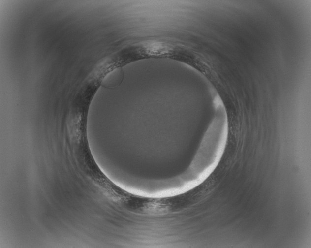 X0000078840319200612111602