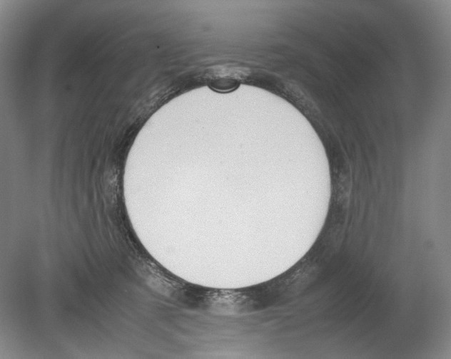 X0000078840321200612111602