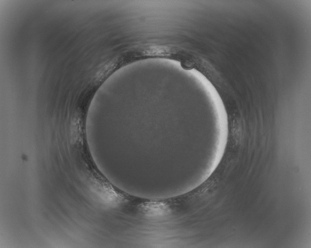 X0000078840322200612111602