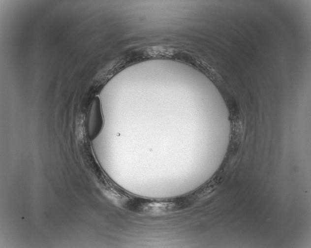 X0000078840323200612111602