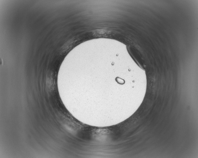 X0000078840324200612111602