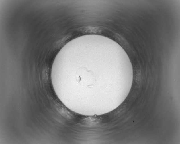 X0000078840326200612111602