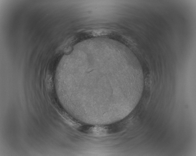 X0000078840327200612111602