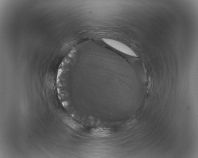 X0000078840331200612111602