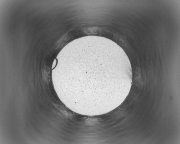 X0000078840332200612111602