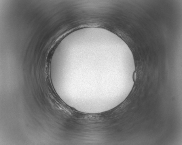 X0000078840338200612111601