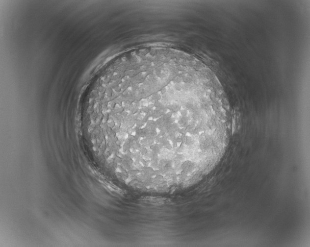 X0000078840339200612111601