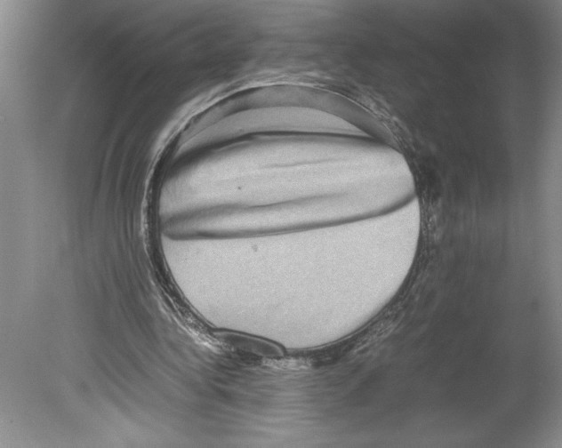 X0000078840340200612111601