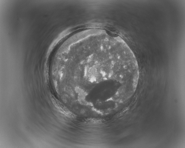 X0000078840343200612111601