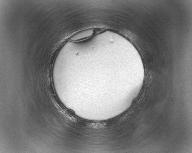 X0000078840345200612111601